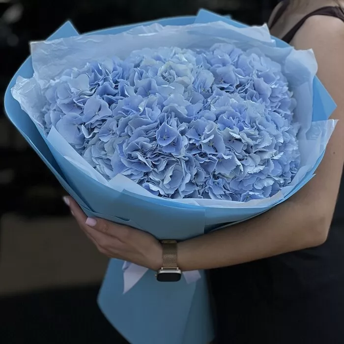 Голубая лагуна